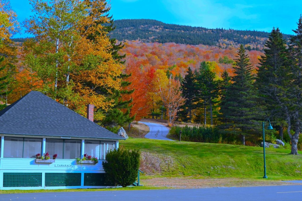 The Lodge At Jackson Village Eksteriør billede